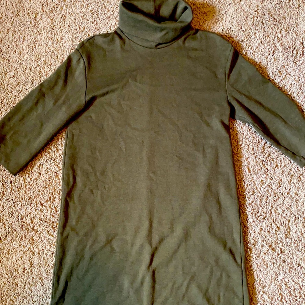 Zara Turtle Neck Dress